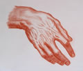 Michael Hensley Drawings, Human Hands 13
